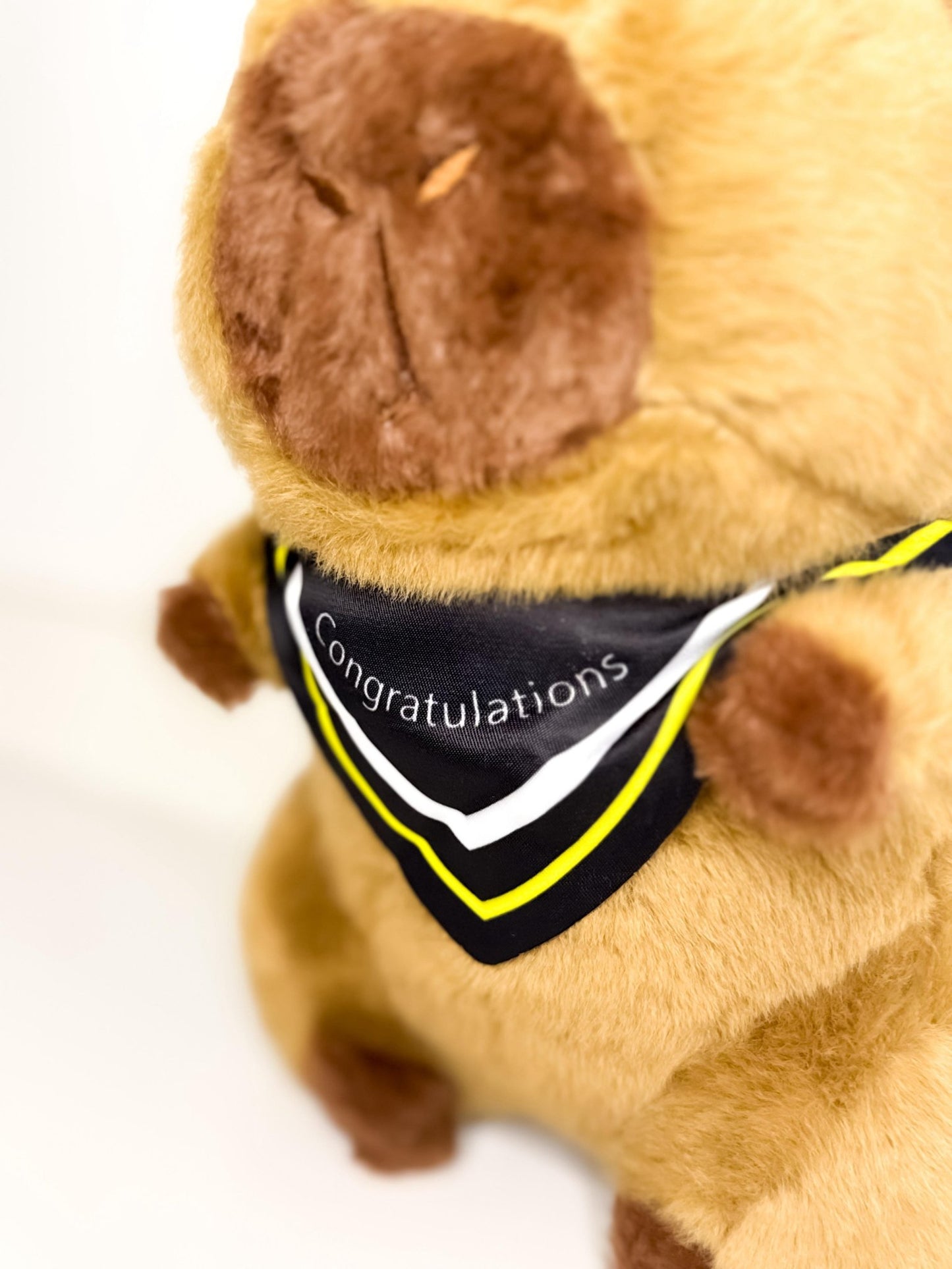 Peluche Capibara Universitaria - shop_name peluche capibara popmart labubu diadelniño paraguay comprar en shop_name Peluche Capibara Universitaria, la mejor calidad en - Wow Concept Peluche Capibara Universitaria en
