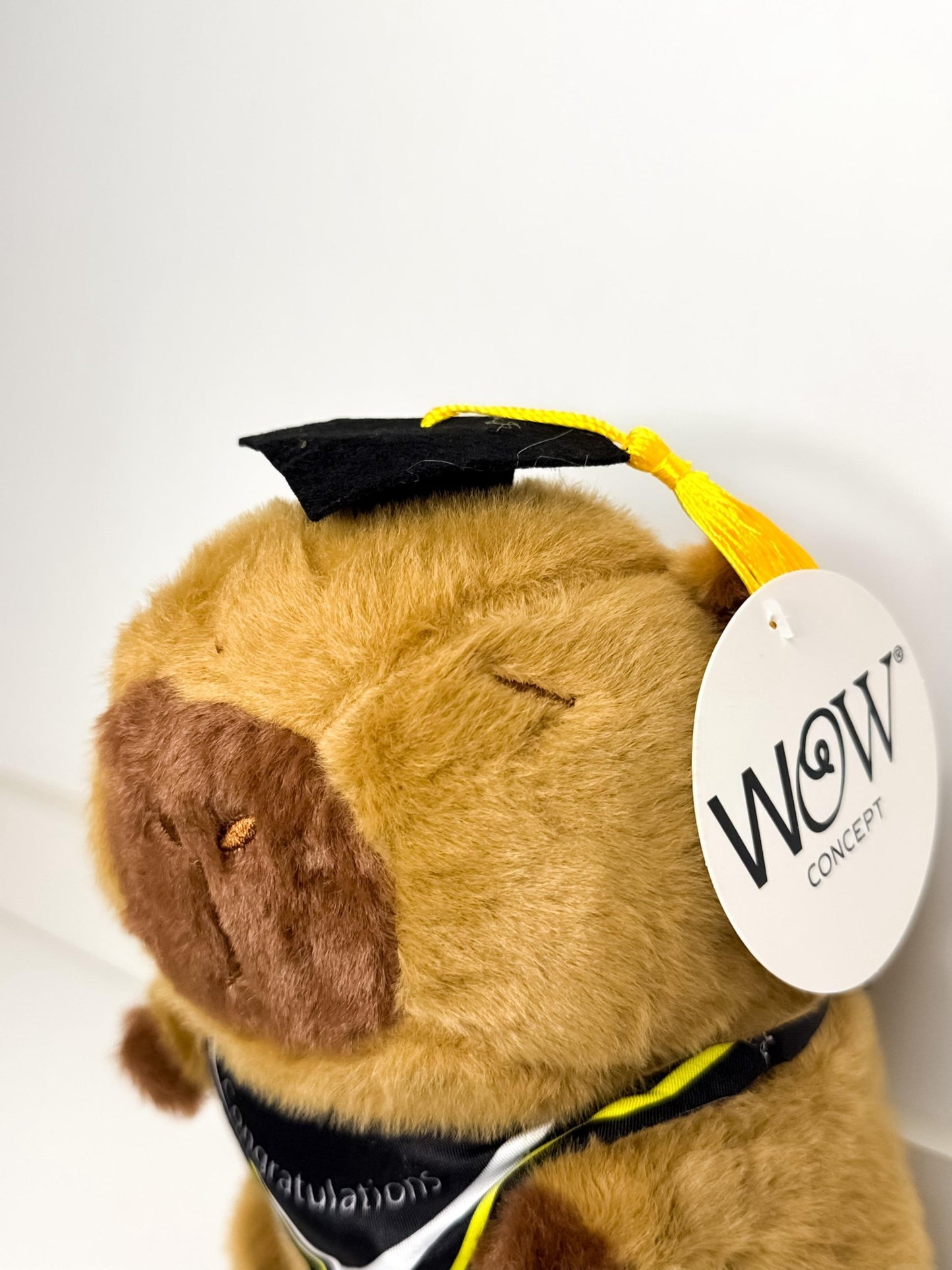 Peluche Capibara Universitaria - shop_name peluche capibara popmart labubu diadelniño paraguay comprar en shop_name Peluche Capibara Universitaria, la mejor calidad en - Wow Concept Peluche Capibara Universitaria en